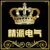 乐清市精派电气厂